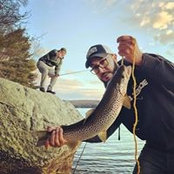 Alexis Correa's photo