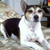Foto von Roscoe Meeks