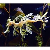 Beth Jones's photo