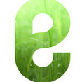 Foto de perfil de El Torrent Il·luminació - It's hand made light