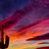 Liz Soltero's photo