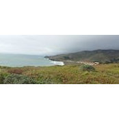 Tram Van's photo