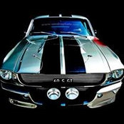 Shi Haab's photo