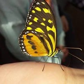 Cecilia Pearson McDermott's photo