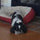 lois_walker2741
