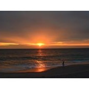 Robin Vidito's photo