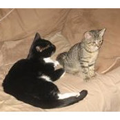 Erin Buckley's photo