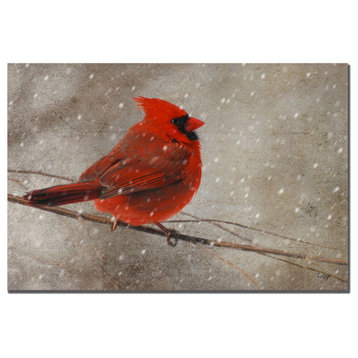 'Cardinal in Winter' Canvas Art by Lois Bryan