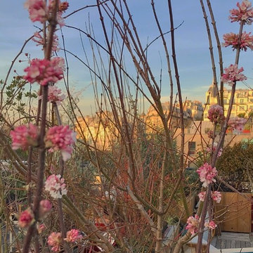 toit terrasse imaginé comme un jardin au dessus du Moulmin Rouge