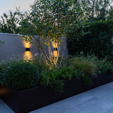 Up lighting a multistem tree is pure magic