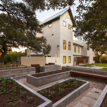Barton Springs House