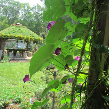 LIVE GREEN ROOF
