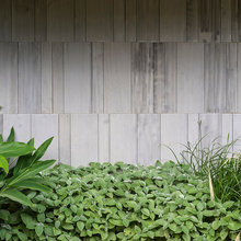 walls