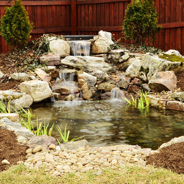 Ecosystem pond