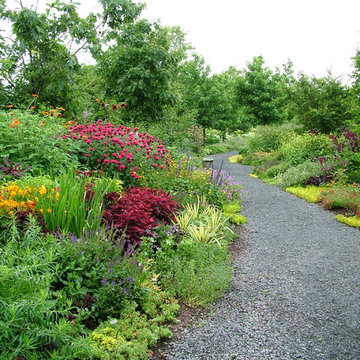 Deer Resistant Garden