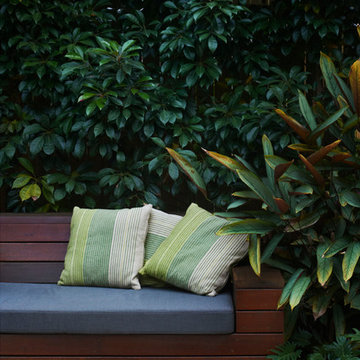 Chatswood - Pool + Garden
