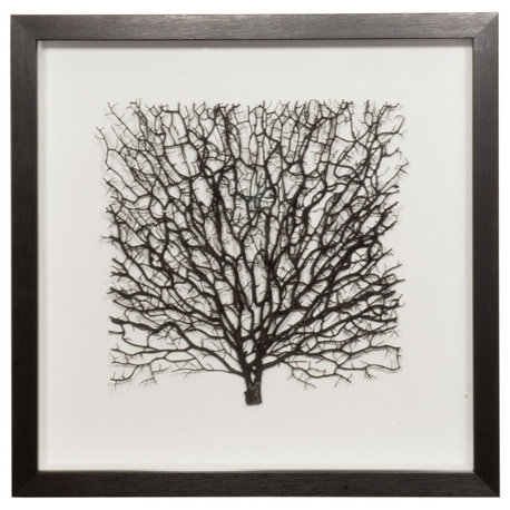 Withered Tree Shadow Box Wall Décor