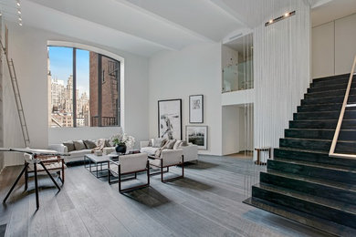 Living room - contemporary living room idea in New York