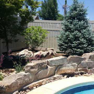 Backyard Oasis