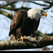 Keith Dresh's photo