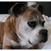 Jason Joyal's photo