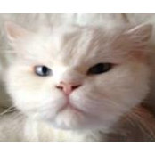 Christopher Homberg's photo