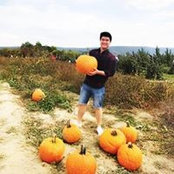 David Sterling's photo