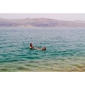 Lillian Goldstein's photo