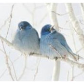 Lisa Joubert's photo