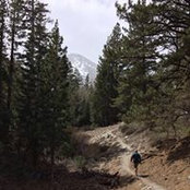 Steve Crowder's photo