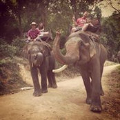 Dennis Grady's photo