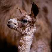 Maureen Hall's photo