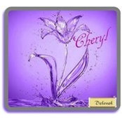 Cheryl Messercola's photo
