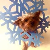 Jacki Kraig's photo