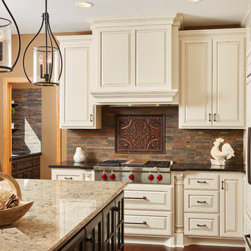 Sophisticated Whole House Remodel in Plymouth