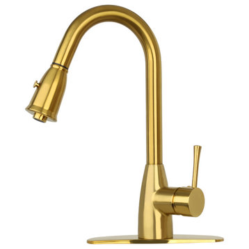 Pull Down Kitchen Faucet and Deck Plate, With Pull Down Sprayer, Brushed Gold