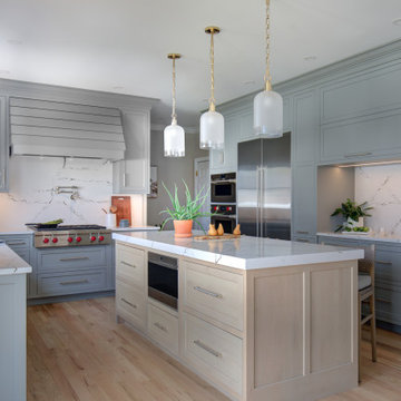 Modest to extraordinary mid century modern home renovation