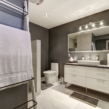Contemporary Basement Bathroom
