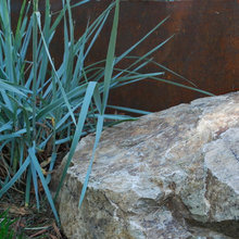 Landscape Ideas