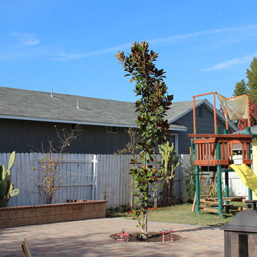 Dan Segura - Backyard remodel