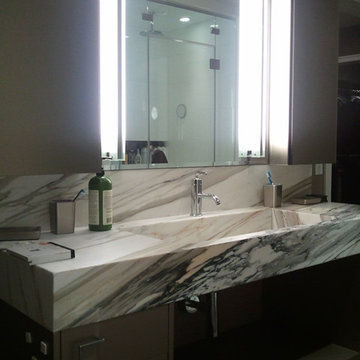 South Waterfront Penthouse