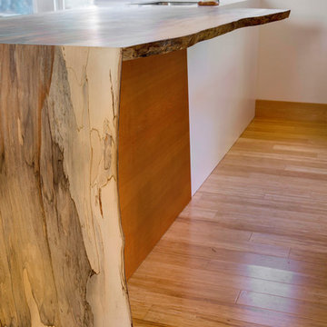Portland Historical Bungalow Remodel and Addition