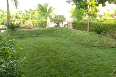 ANTICA GREENWOODS