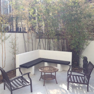 12th and Locust St. backyard renovation