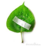 Karthick Ns's photo