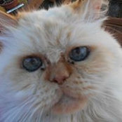 Lisa Hess's photo