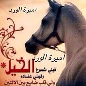 اميرة الوردs foto