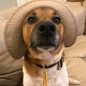 Brad McAllister's photo