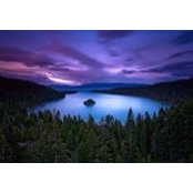 Dawn Wippo's photo