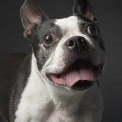 Randi Weiss's photo